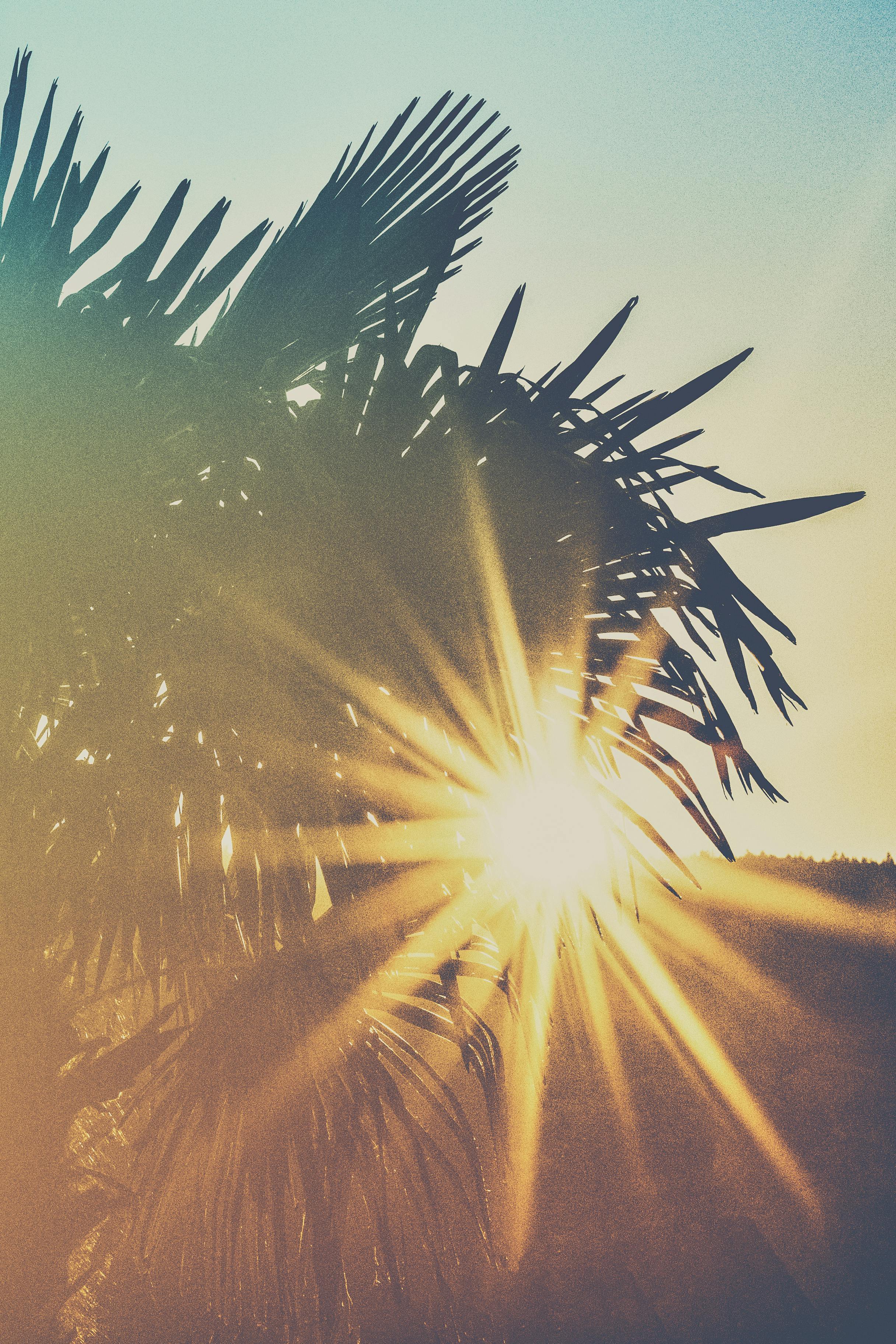 “Sometimes we can only find our true direction when we let the wind of change carry us.” —Mimi Novic